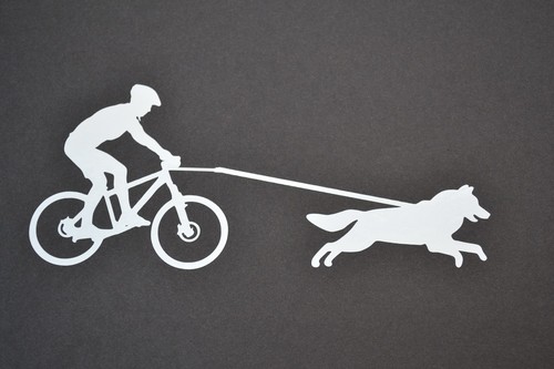 Sled dog spirit bike jor - sled,