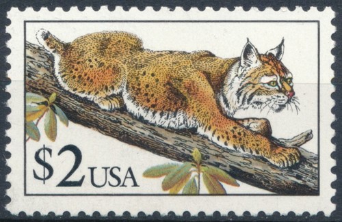 Bobcat usa 1990 - bobcat:,