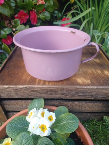Pretty vintage rose pink - vintage,