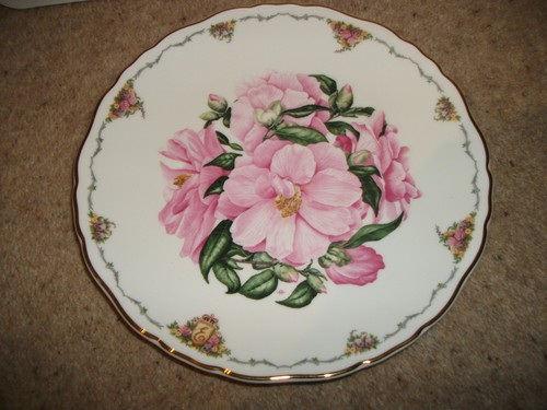 Royal albert camellia - royal,