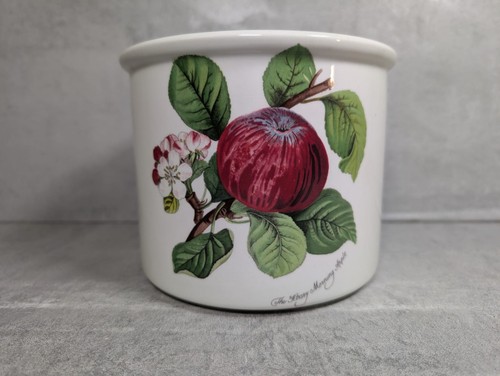 Portmeirion pomona plant pot - portmeirion,