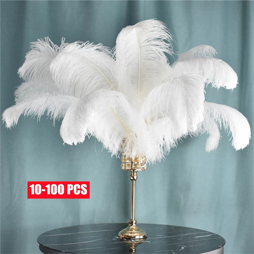 100pcs large ostrich - large,