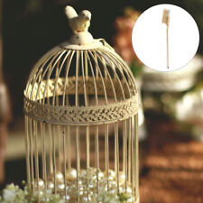  Chicken Coop Cleaning Tools