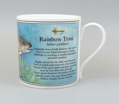 Ashley riverside mug rainbow - ashley,