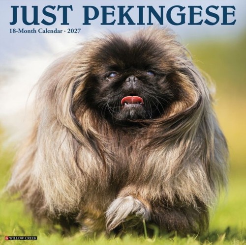 Pekingese 2027 wall - 2027,