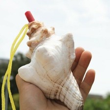 Natural Conch Horn Whistle