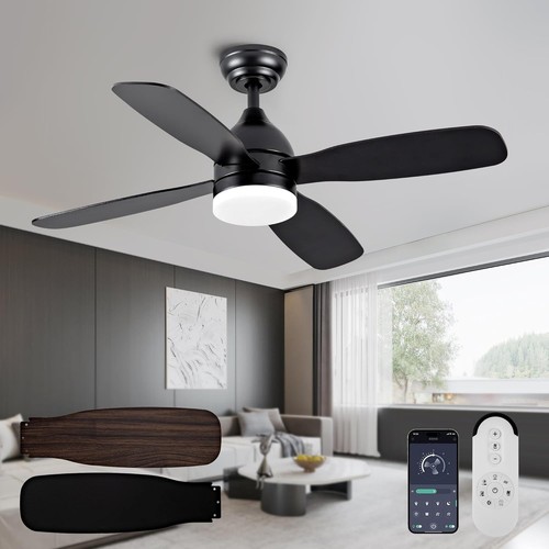 Ceiling fans with lights and - fans,