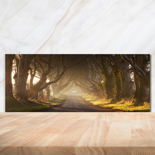 Kitchen glass splashback - kitchen,