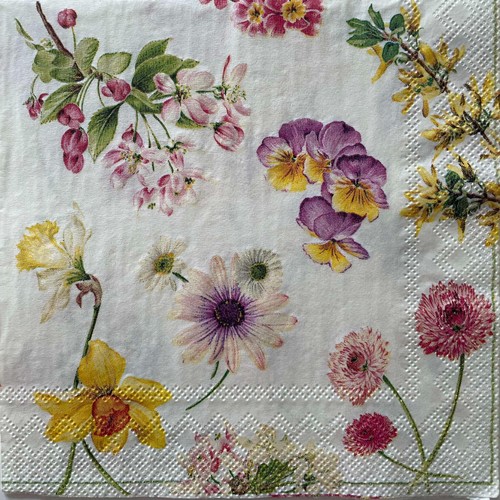 Cocktail paper napkins for - napkins,