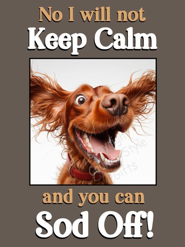 Red irish setter dog funny - red,