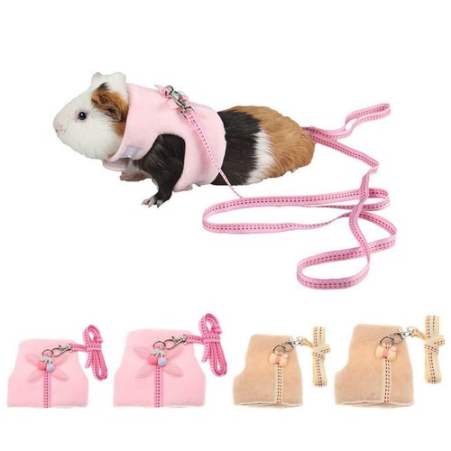 Small pet rat mouse hamster - pet,