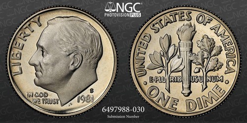1981 10c roosevelt - s,