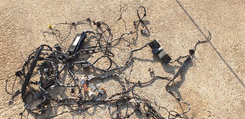 Ford full car wiring - full, loom.