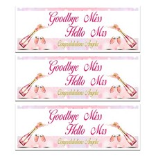 HEN DO BANNER PARTY BRIDE TO