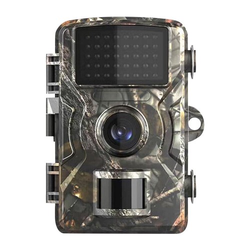Trail wildlife camera - trail,