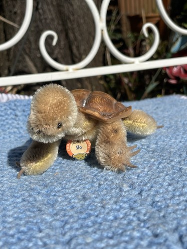 Teddy bear old steiff - bear,