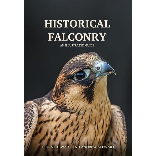 Historical falconry an - historical,