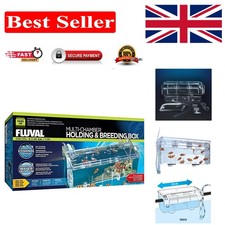 Elegant Hang-On Fish Breeding