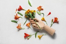 Wooden Artist Hand Mannequin