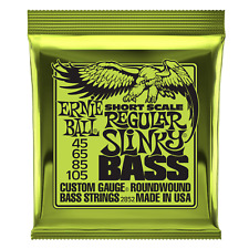 Ernie Ball Regular Slinky