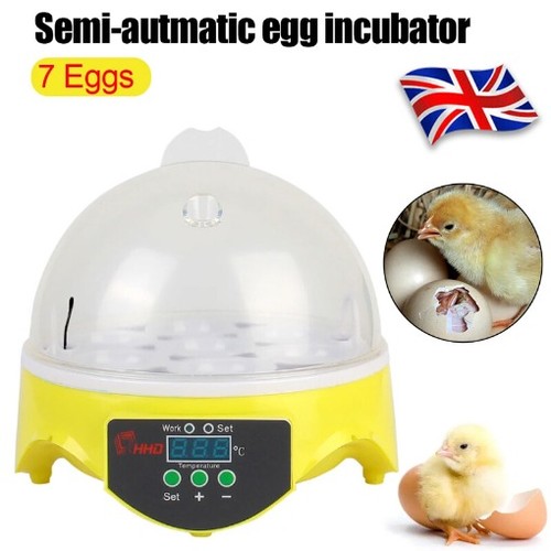 Automatic digital led hatch - led, 7