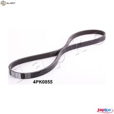 VRIBBED BELT 4PK855 FOR