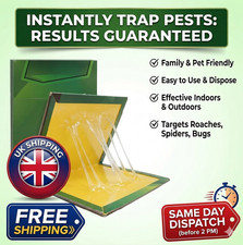 10 Pack Pest Trap Boards
