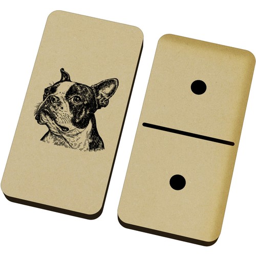 Boston terrier portrait - terrier, portrait'