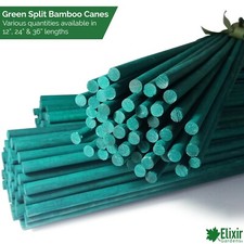 Green Flower Stick | Bamboo Split Cane Plant Support | 12", 24" & 36" Sizes