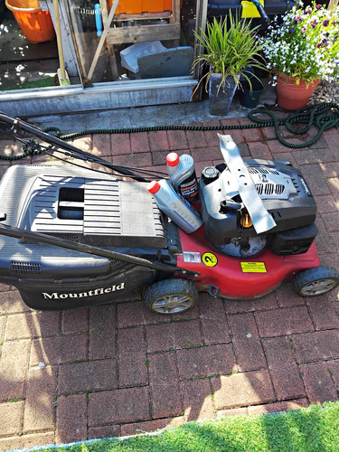 Mountfield petrol push - petrol,
