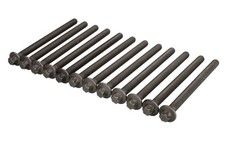 Cylinder Head Bolts for