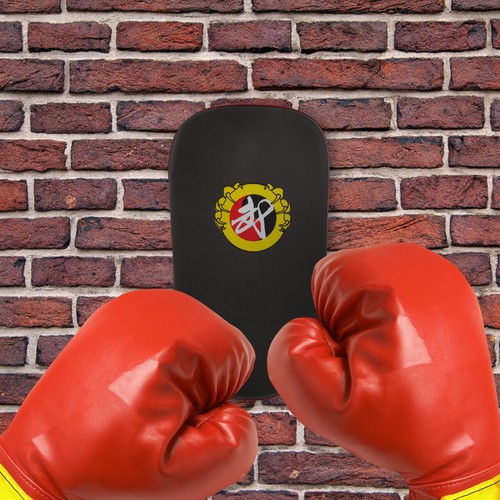 Kickboxing kick pad kicking - ,