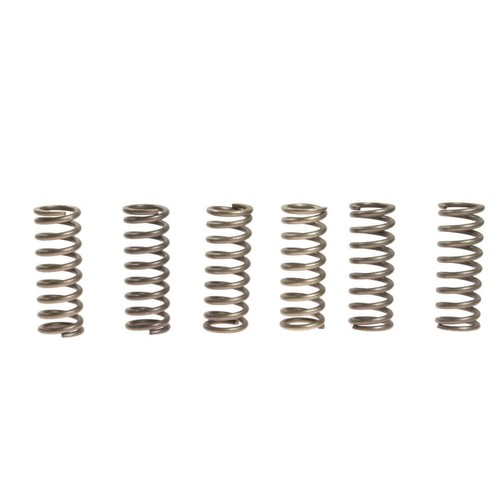Clutch springs ebc rinf 10 - 6, rinf.