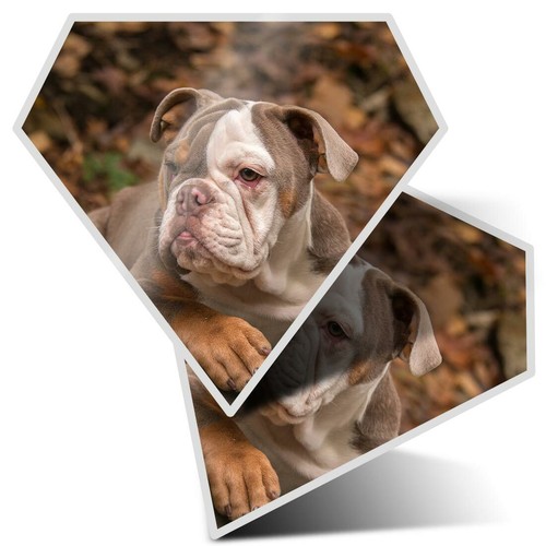 Diamond stickers - stickers,