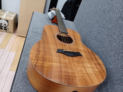Taiylor mini acoustic - taiylor, gs
