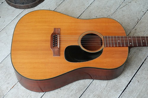 Martin d12 acoustic guitar - martin,