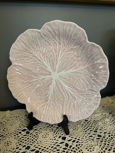 Pink cabbage dinner plates - cabbage,