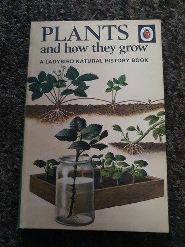 Vintage ladybird book series - vintage,