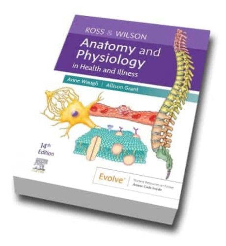 Ross wilson anatomy - (14th),
