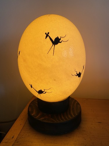 Ostrich egg lamp - egg,