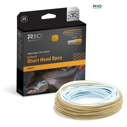 Rio intouch short - rio, head