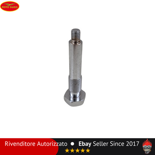 Internal lever pin - gear, shift