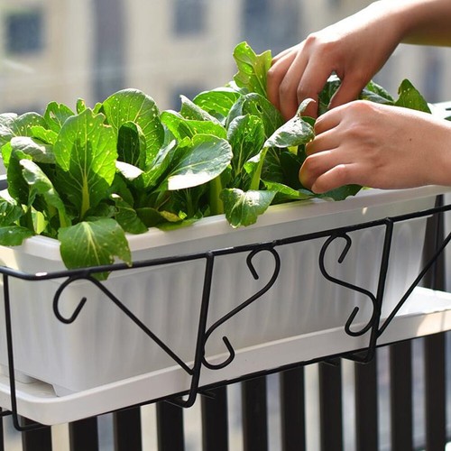 Long trough plant pot - trough,