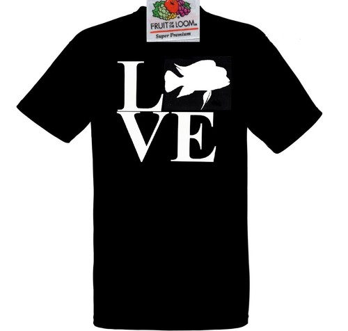 Frontosa cichlid love - love, tropical