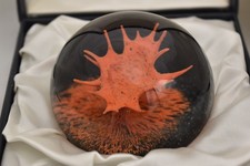 Vintage Caithness Coral Paperweight by Colin Terris – Limited Edition