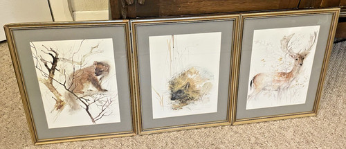 Mads stage wildlife animal - stage, art