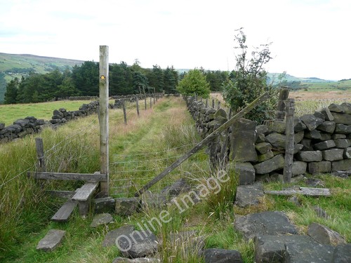 Photo 12x8 old harry lane - old,