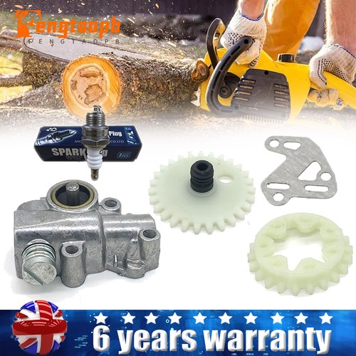 Oil pump worm spur - spur, gear
