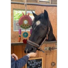 Ruggles Horse Stable Toy