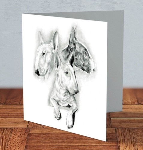 English bull terrier - terrier, breed